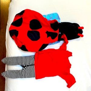 Lady bug costume 3-6 months